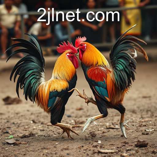 Exploring the Complex World of Cockfighting